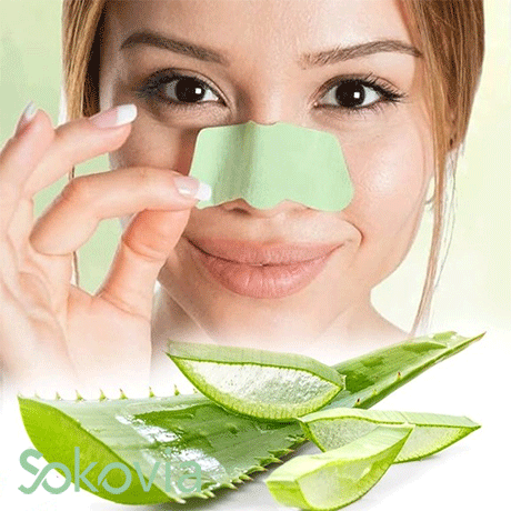 چسب پاک کننده بینی کلینیک مدل آلوئه ورا بسته 6 عددی