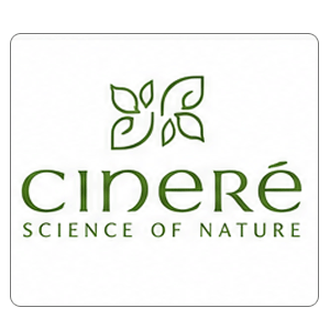 CINERE