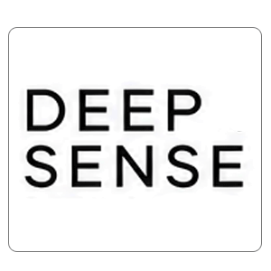 DEEP SENSE